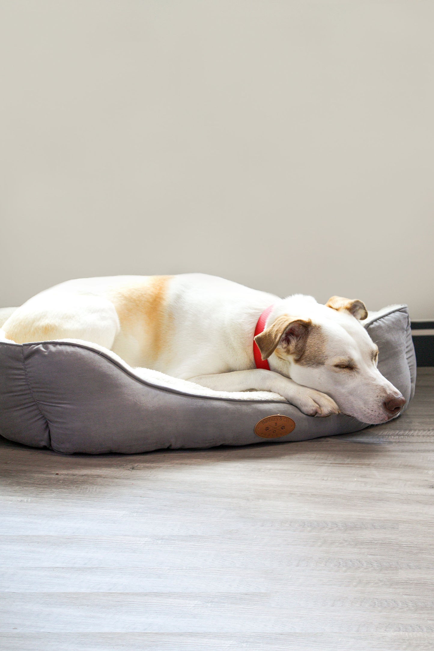 Banbury & Co Luxury Dog Sofa Bed