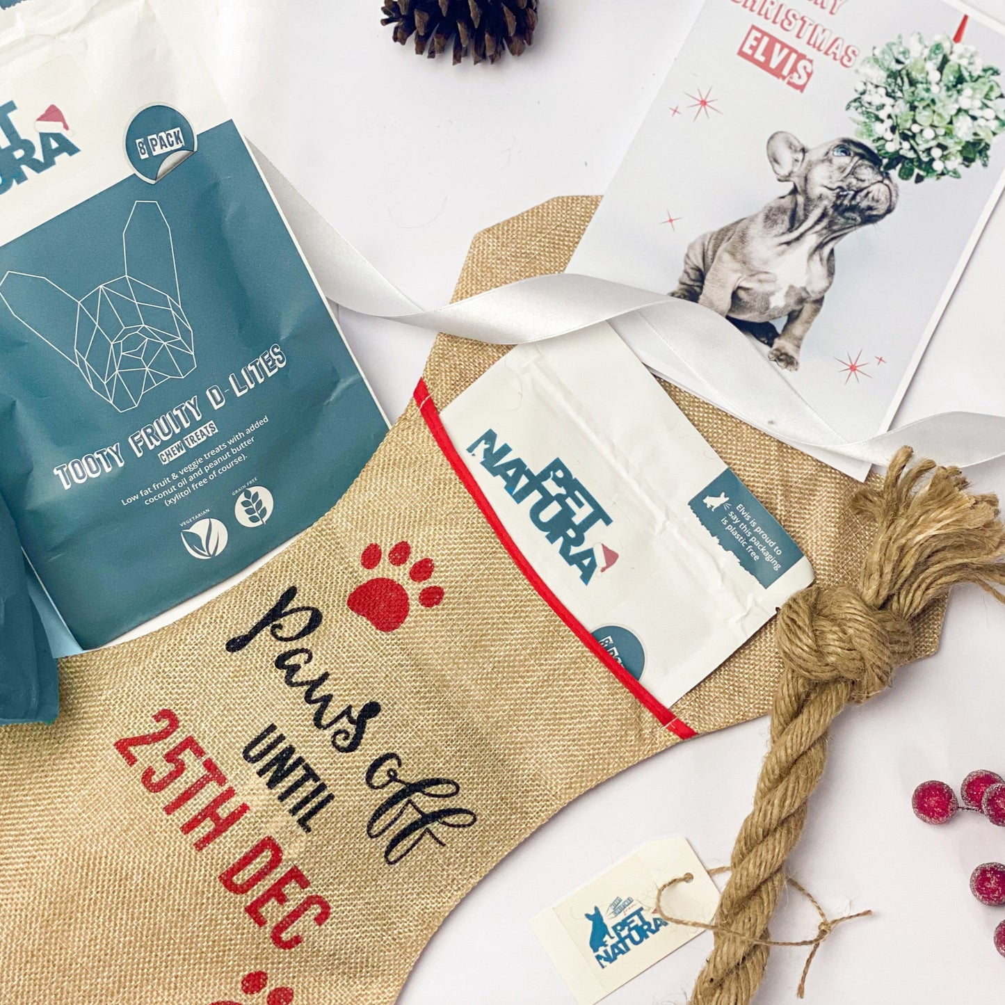 Merry Christmas my Pawsome Pooch! - Dog Stocking Giftset