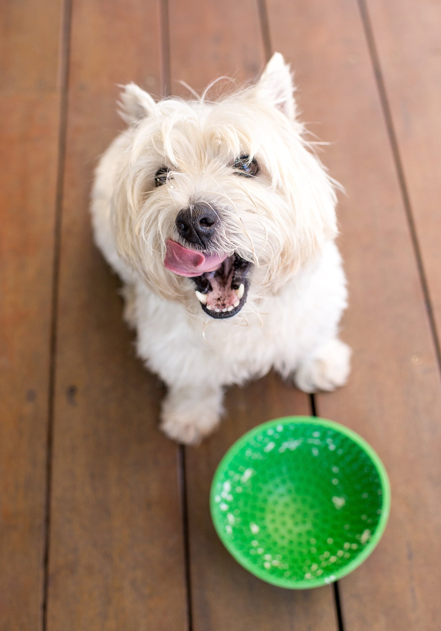 LickiMat Wobble