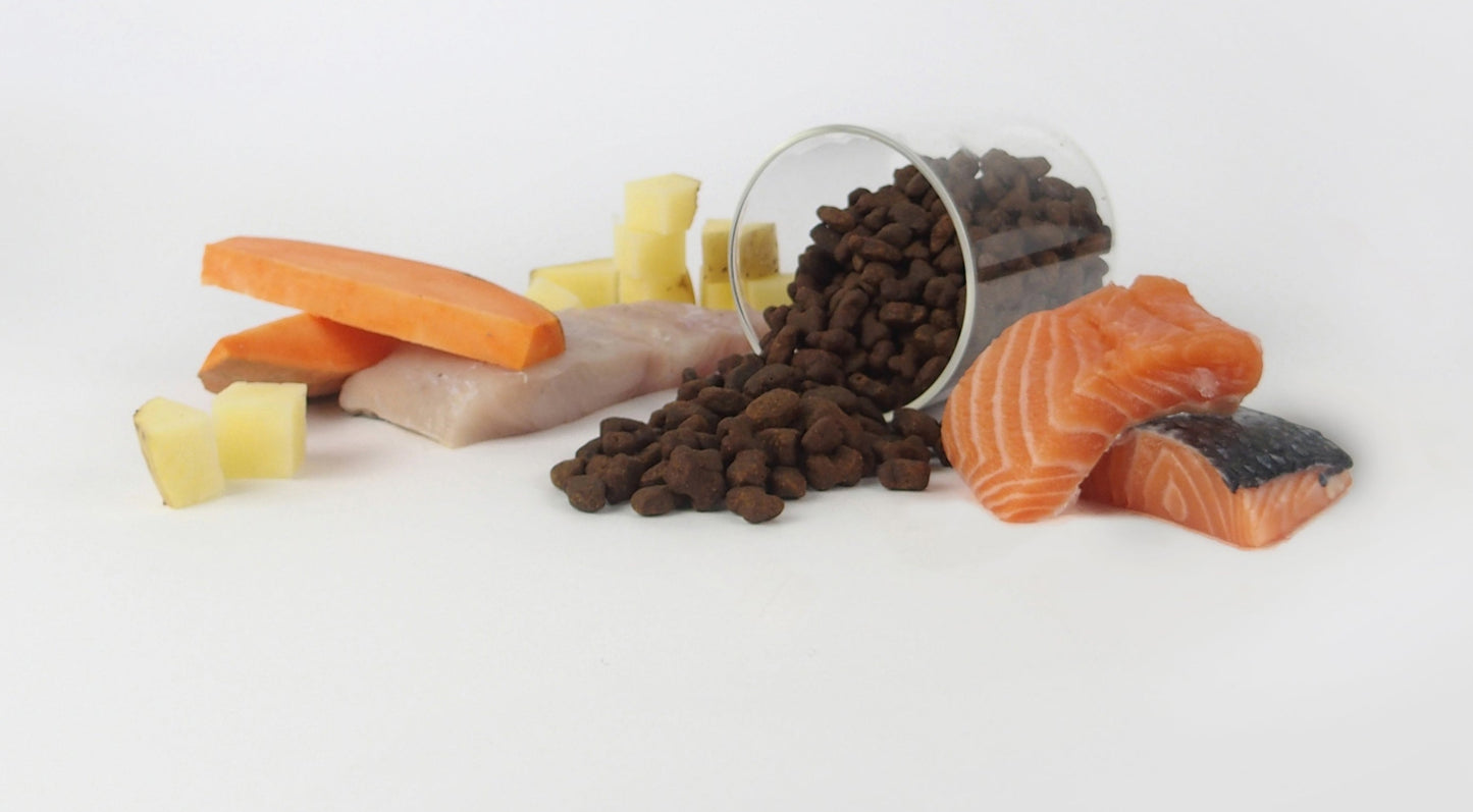 Fish Training Treats - 150g