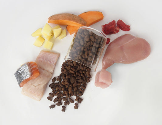 Meat & Fish Training Treats - 150g