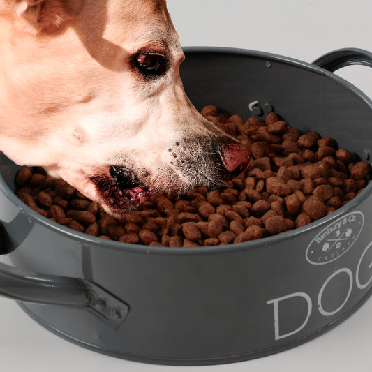 Banbury & Co Dog Feeding Bowl