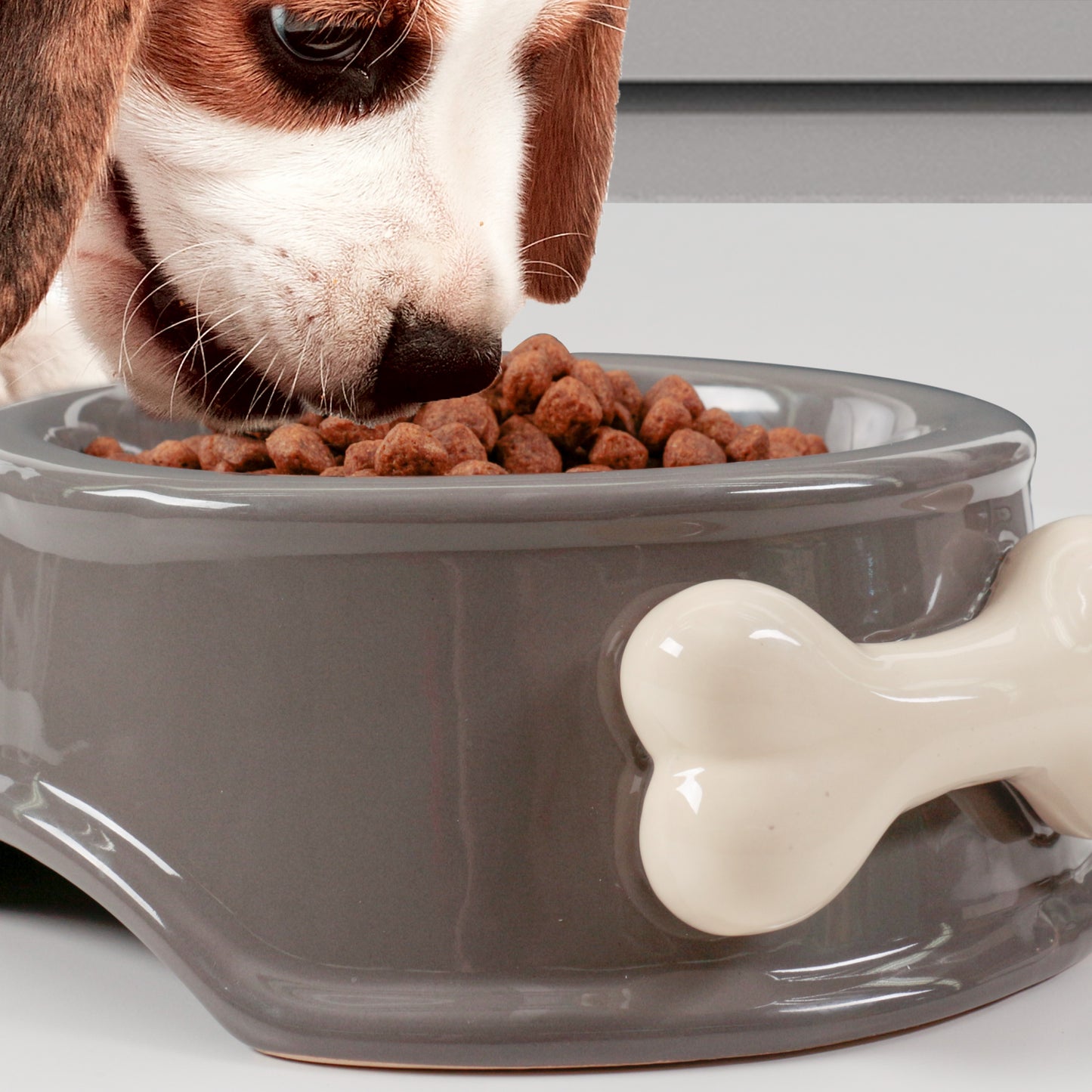 Banbury & Co Ceramic Dog Feeding Bowl
