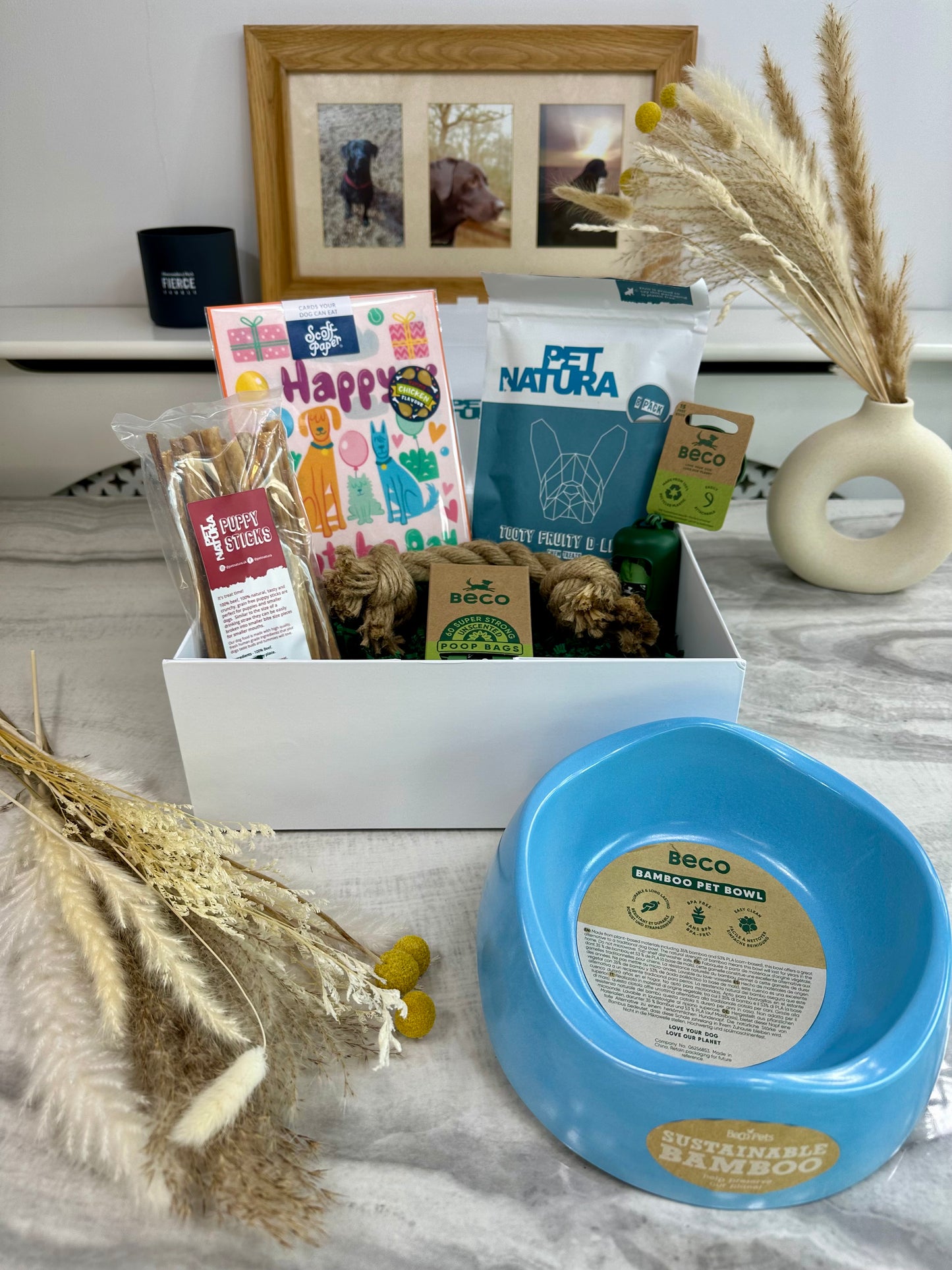 Puppy Gotcha Box - Medium