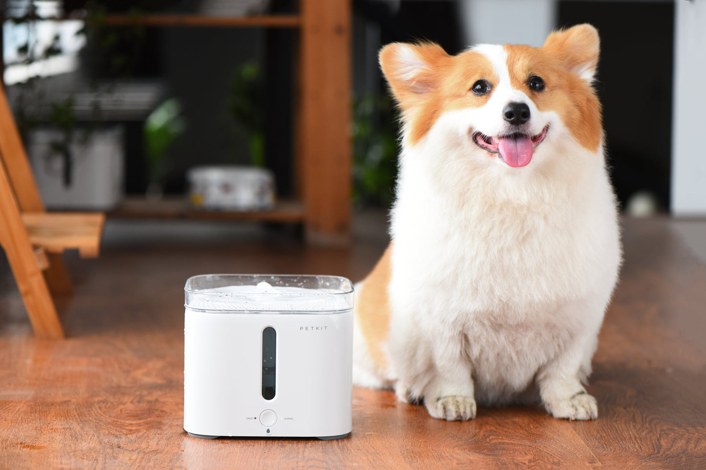 PetKit Eversweet Pet Drinking Fountain G2