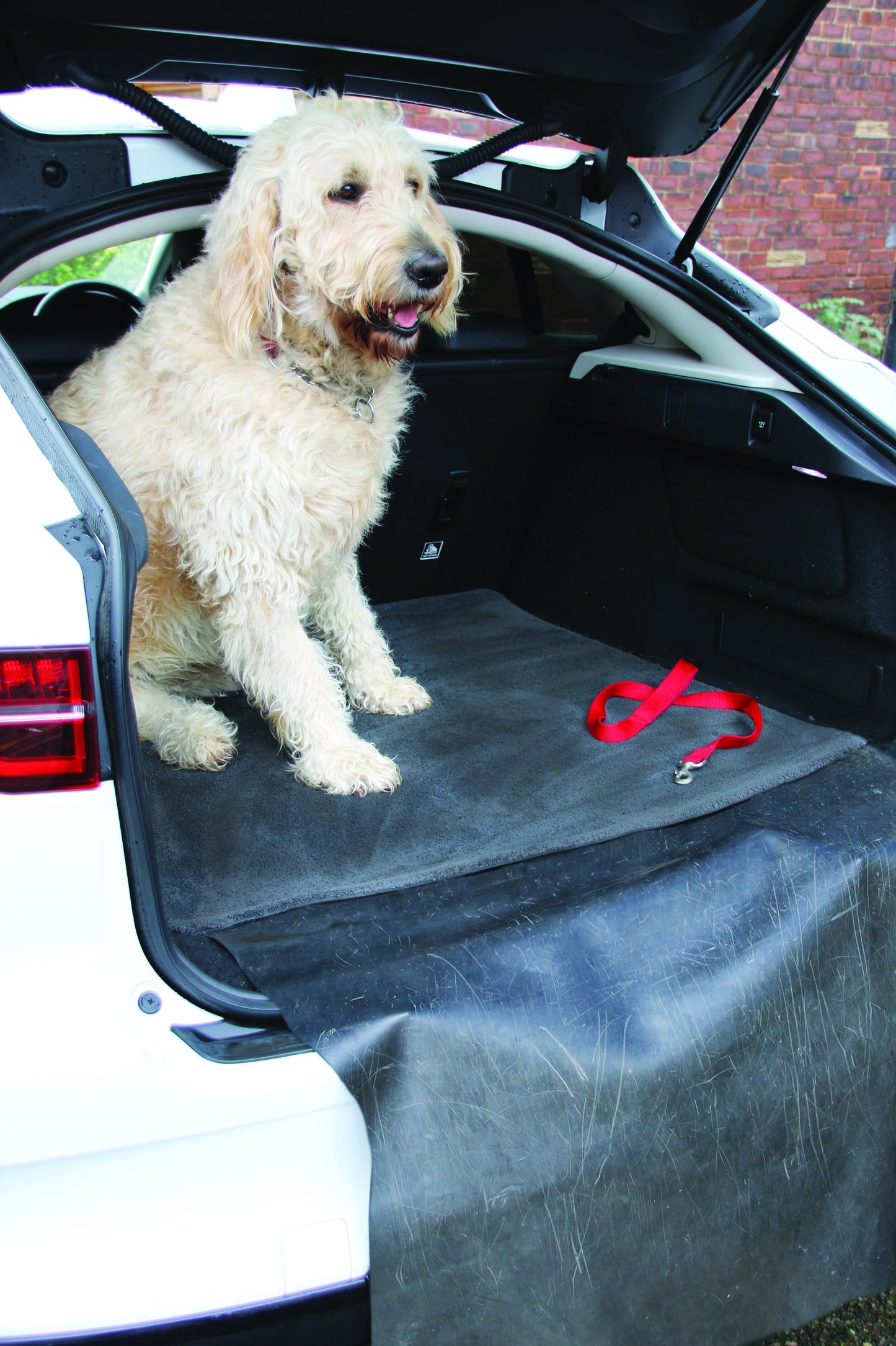 'HUG RUG' SENSE CAR BOOT PROTECTOR MAT