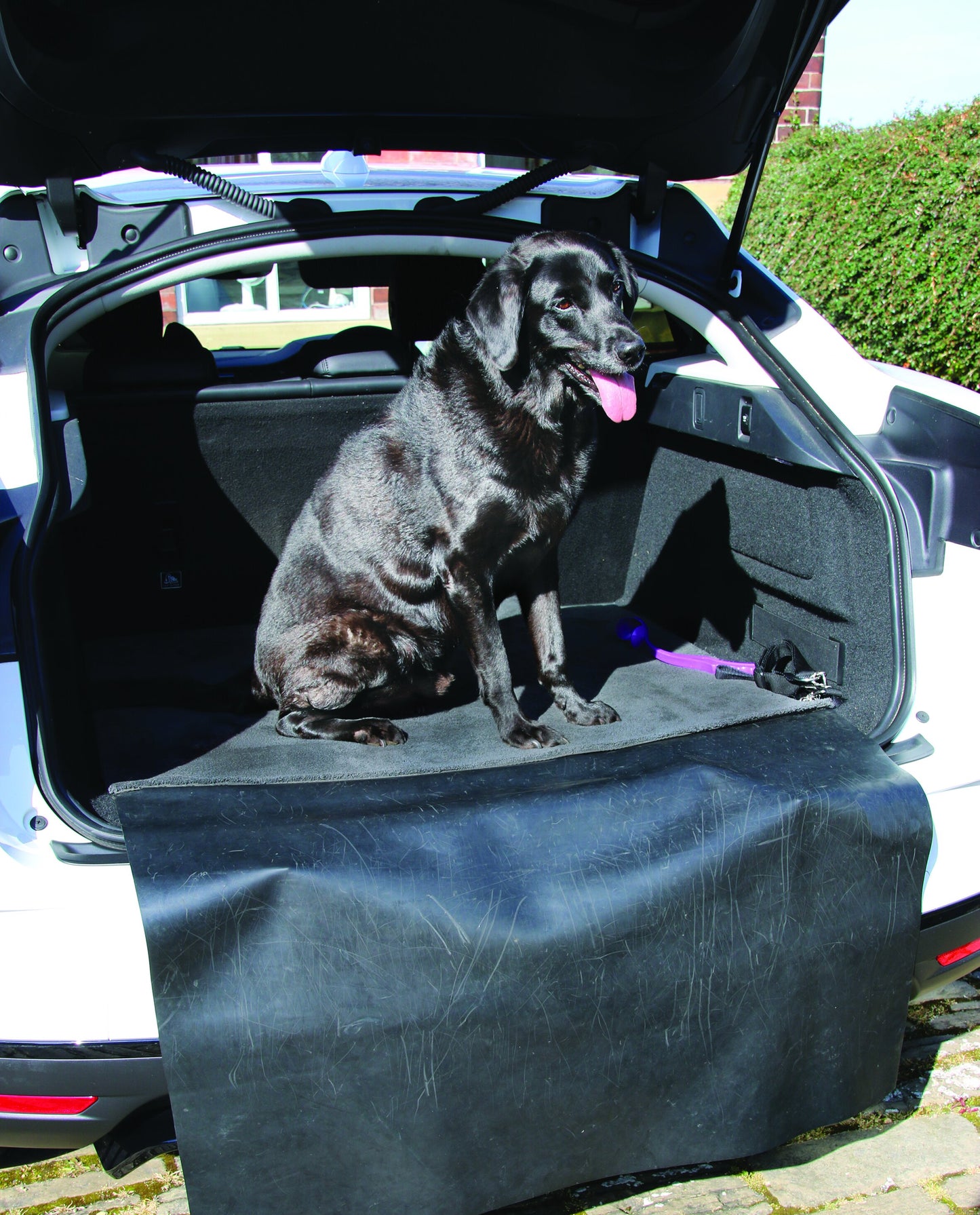 'HUG RUG' SENSE CAR BOOT PROTECTOR MAT